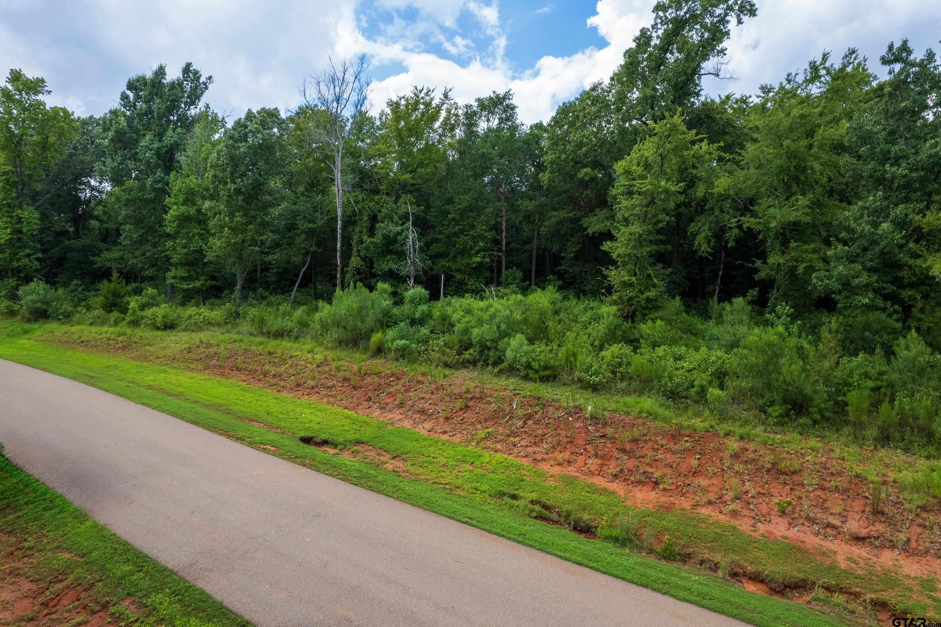 Lot 7R-1 N Pr 52416, Leesburg, Texas image 8
