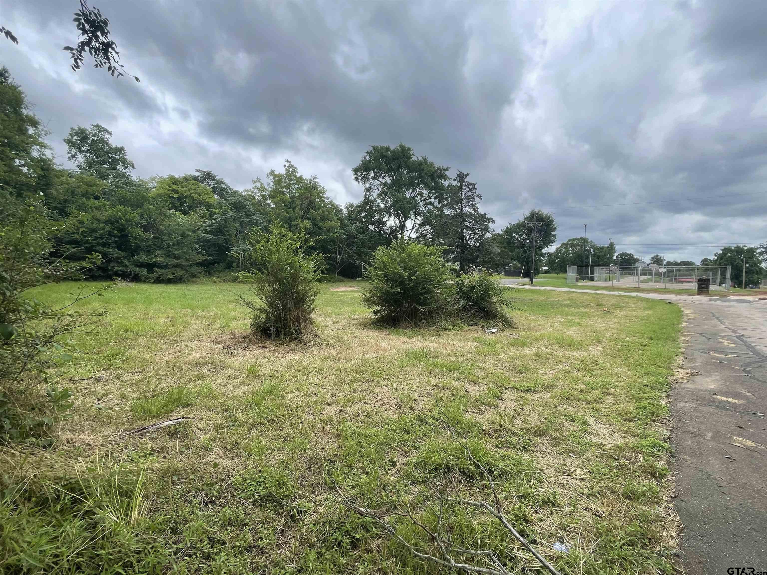 Park Davis, Jacksonville, Texas image 1