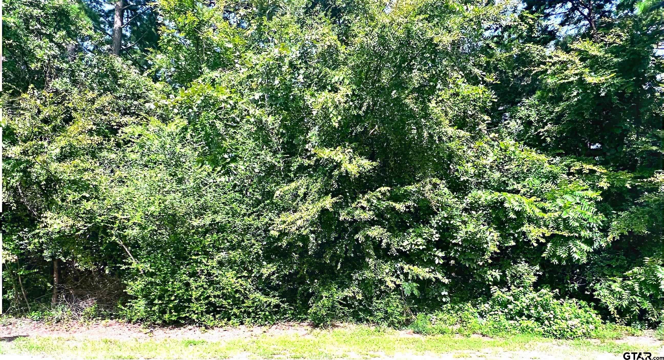 248 Janis Dr, Bullard, Texas image 2