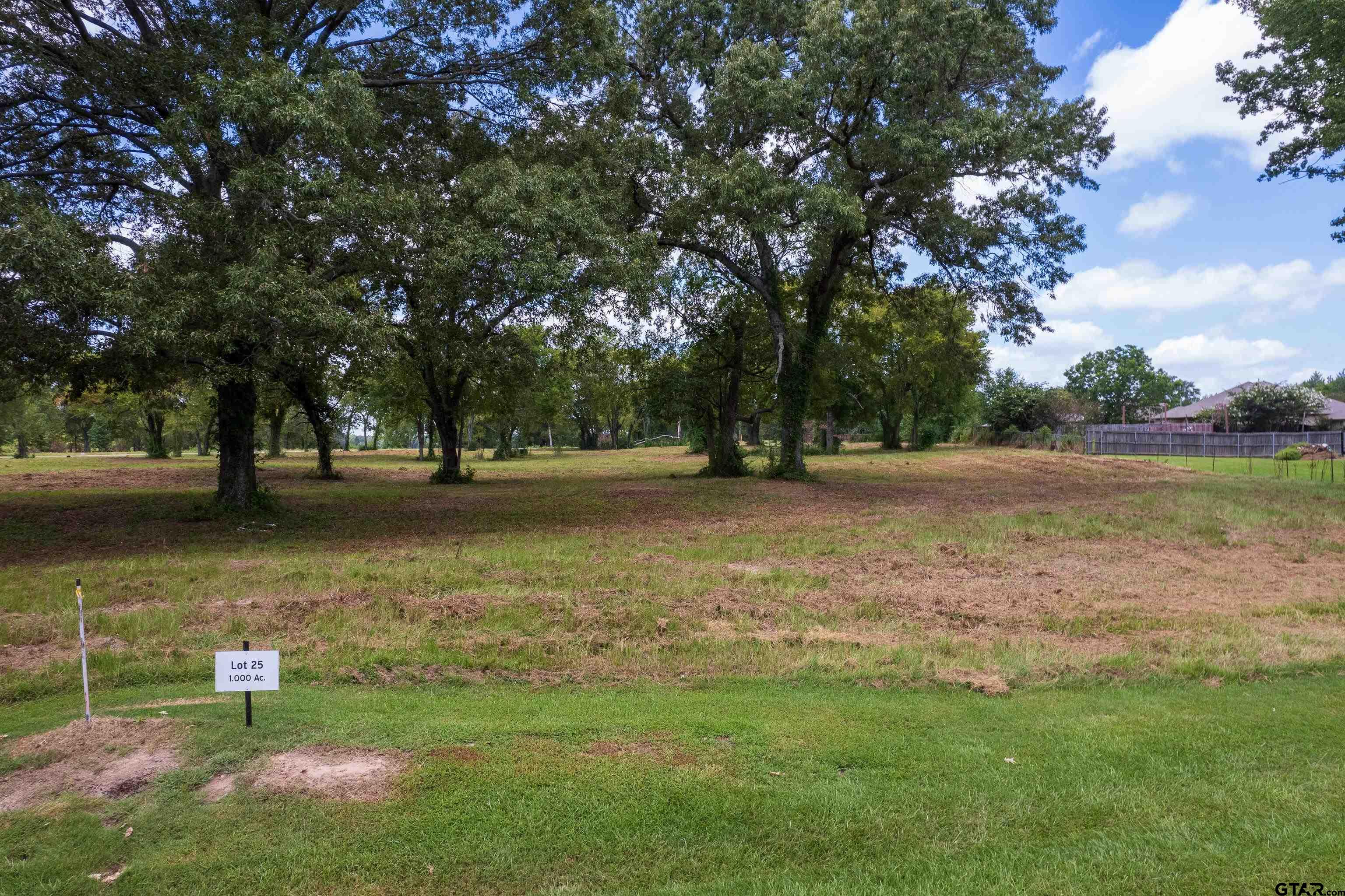 Lot 25