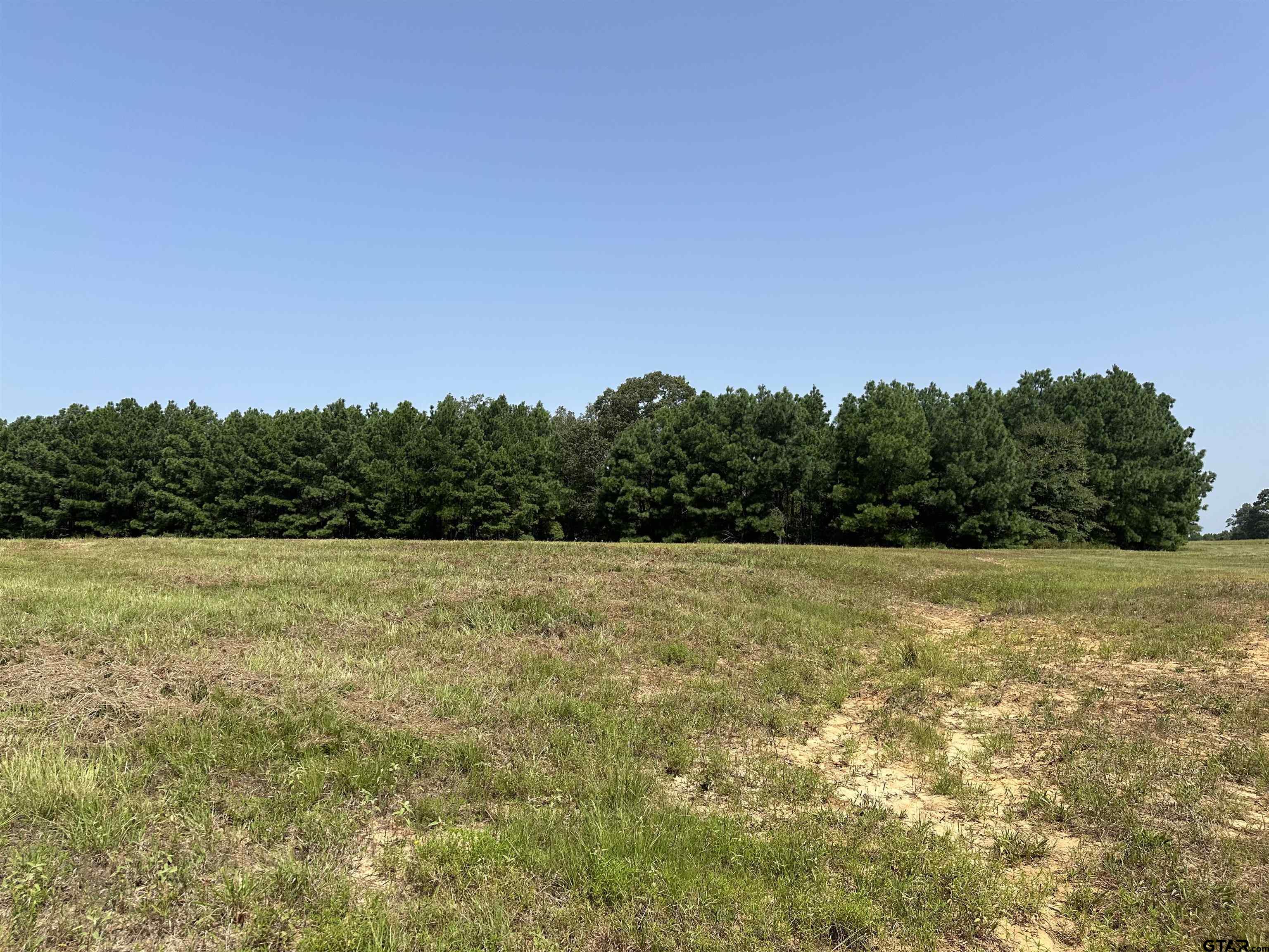 Lot 9 County Road 4217, Frankston, Texas image 4