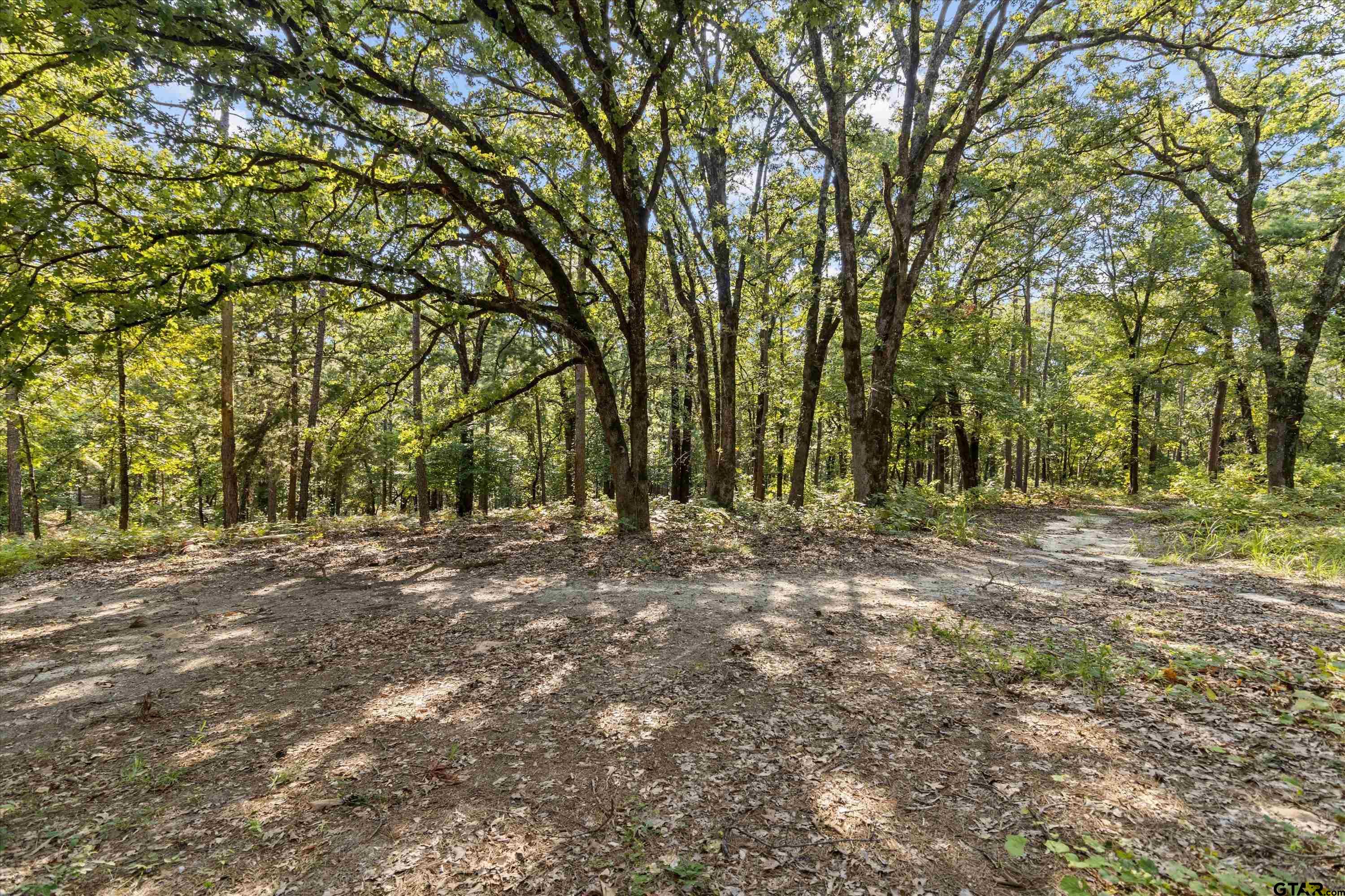 907 Fm 2869, Winnsboro, Texas image 42