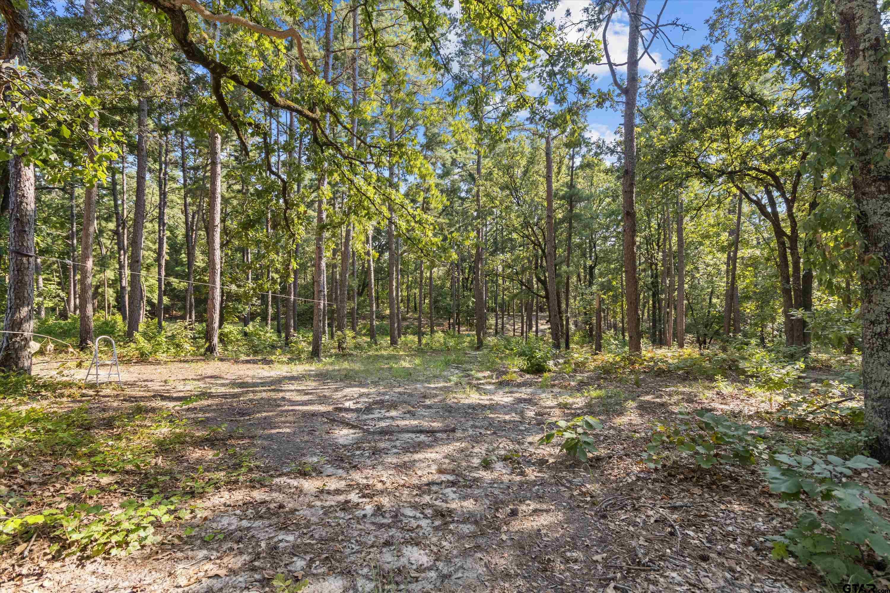 907 Fm 2869, Winnsboro, Texas image 43