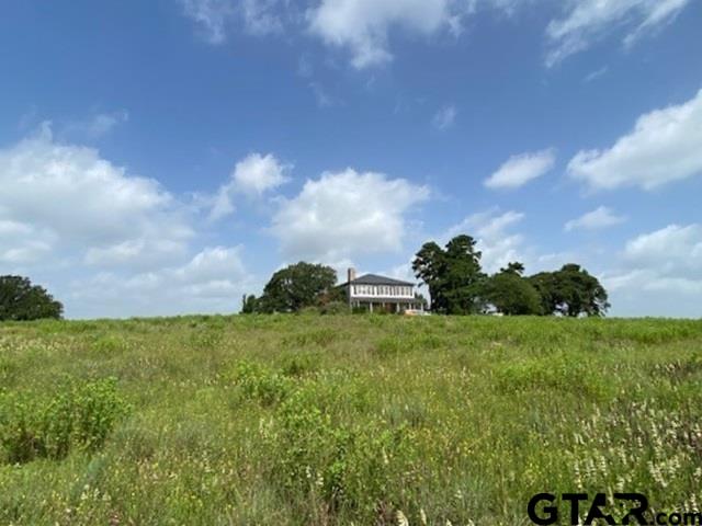 6044 Fm 804, LaRue, Texas image 2