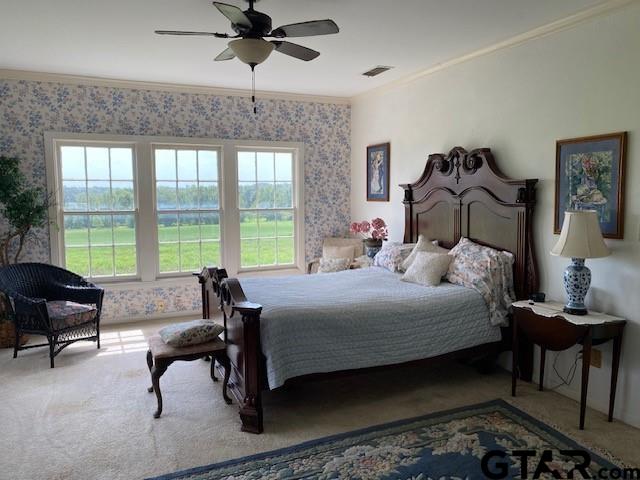 6044 Fm 804, LaRue, Texas image 12