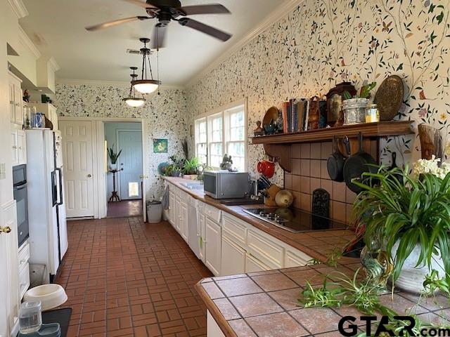 6044 Fm 804, LaRue, Texas image 7