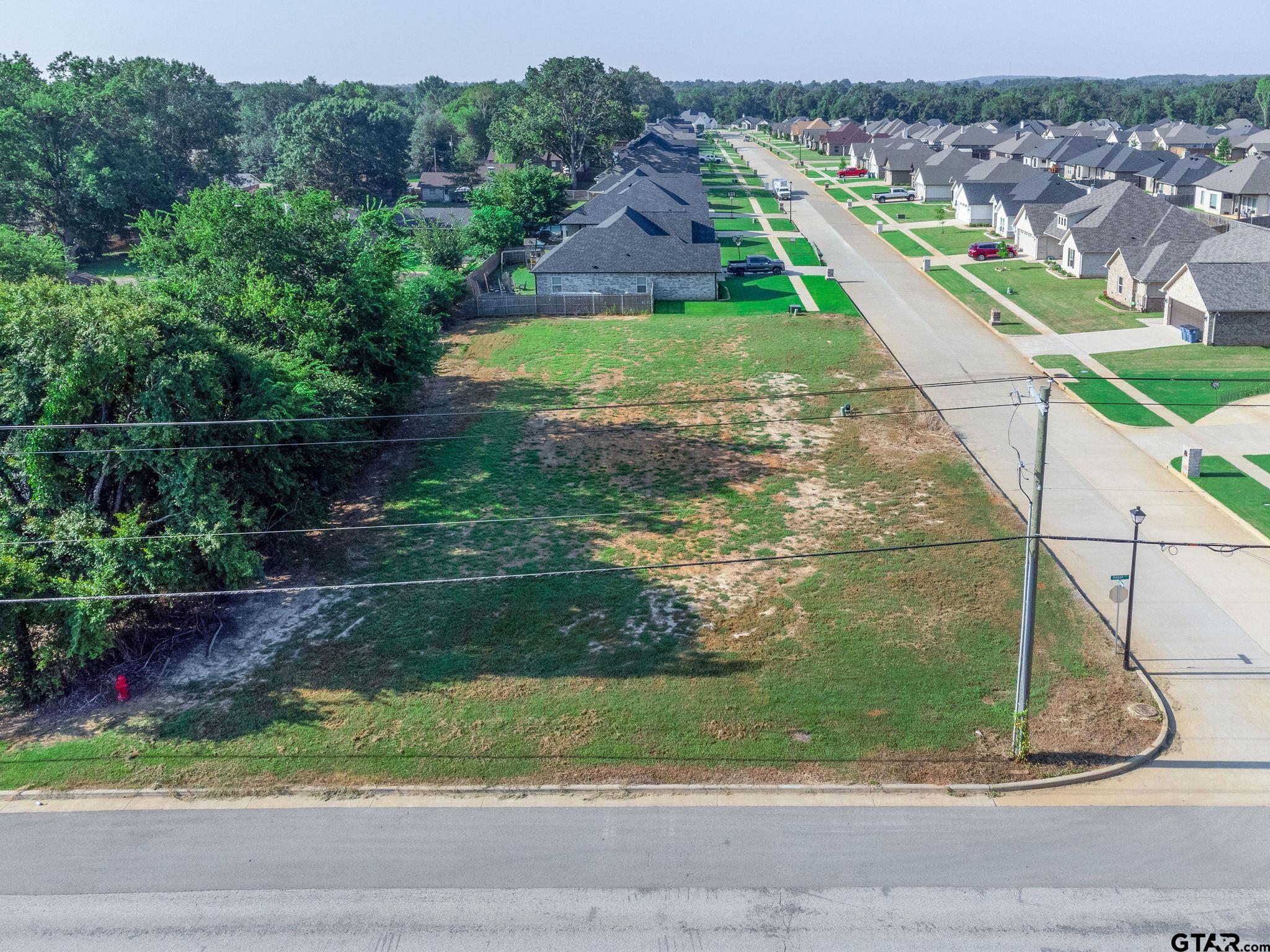 803 Jack Brown, Whitehouse, Texas image 18