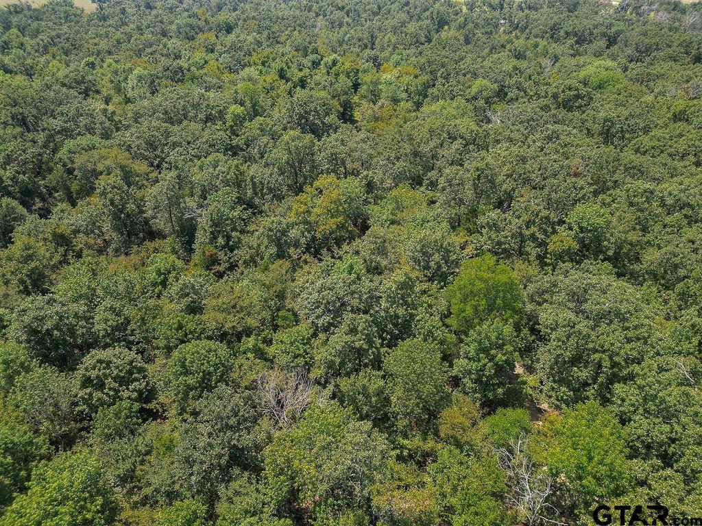 657 Rs Cr 3480, Alba, Texas image 23