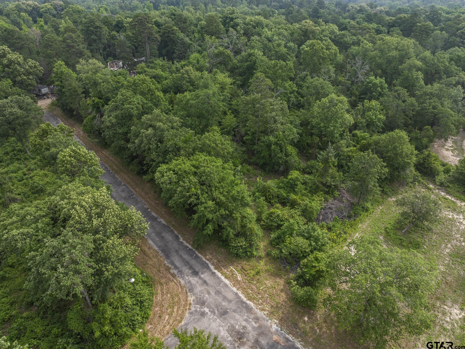 Lot R8 Big Pine Estates, Scroggins, Texas image 11