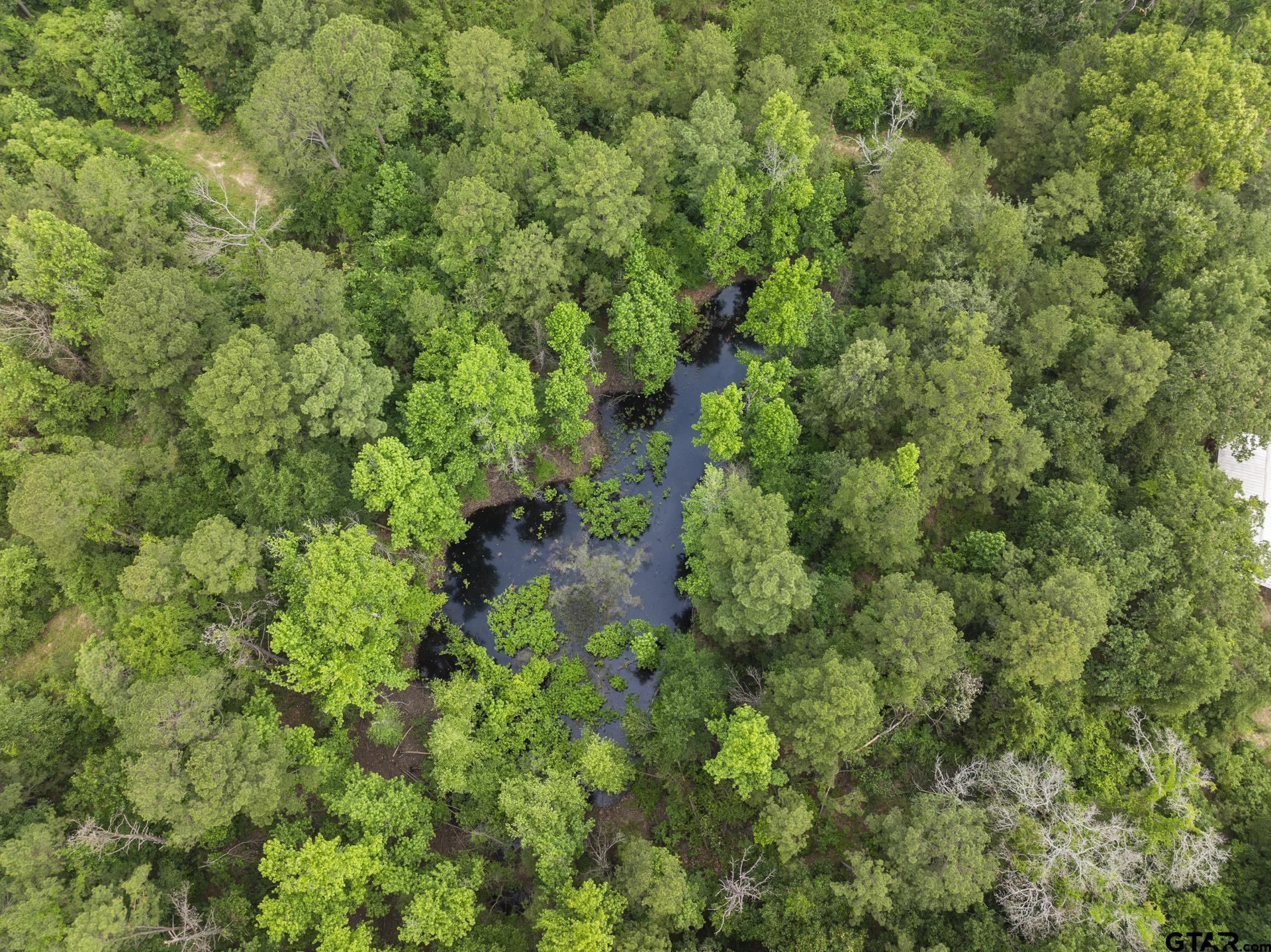 Lot R8 Big Pine Estates, Scroggins, Texas image 16