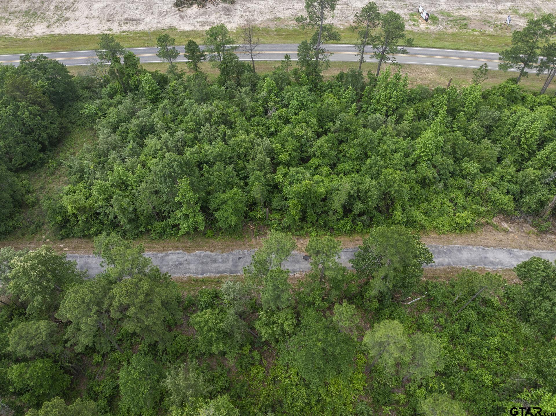 Lot R8 Big Pine Estates, Scroggins, Texas image 8