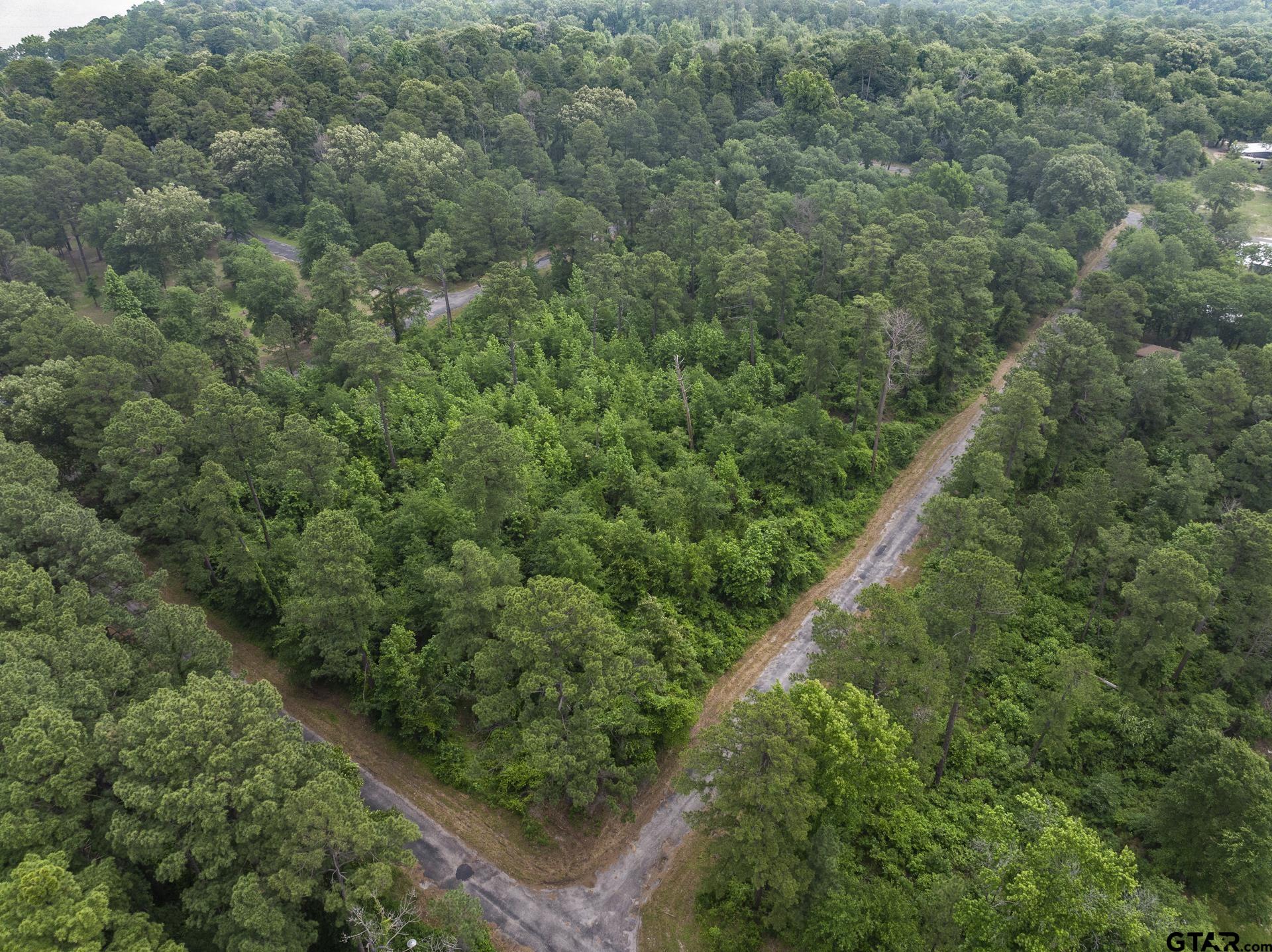 Lot R8 Big Pine Estates, Scroggins, Texas image 9