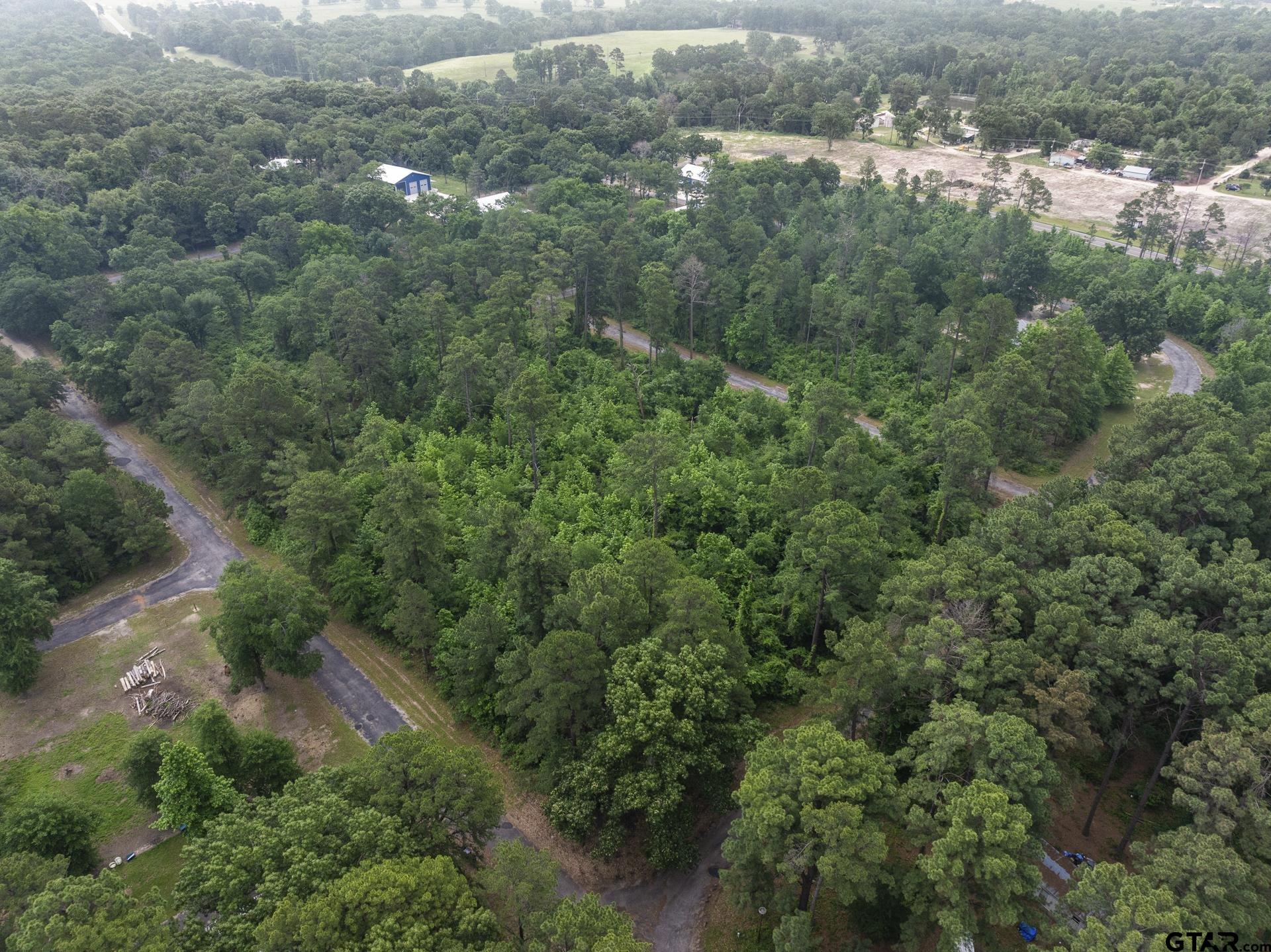 Lot R8 Big Pine Estates, Scroggins, Texas image 10