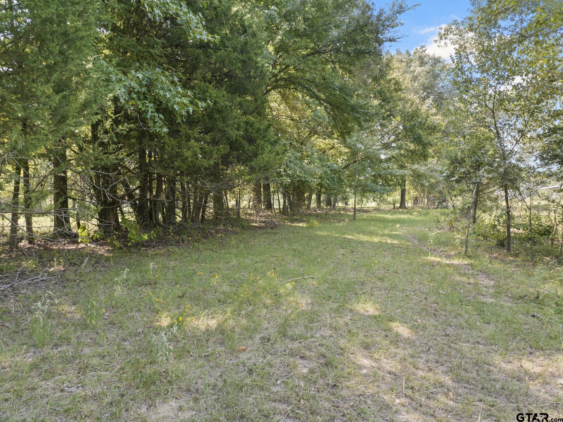 9280 NE County Road 2100, Talco, Texas image 31