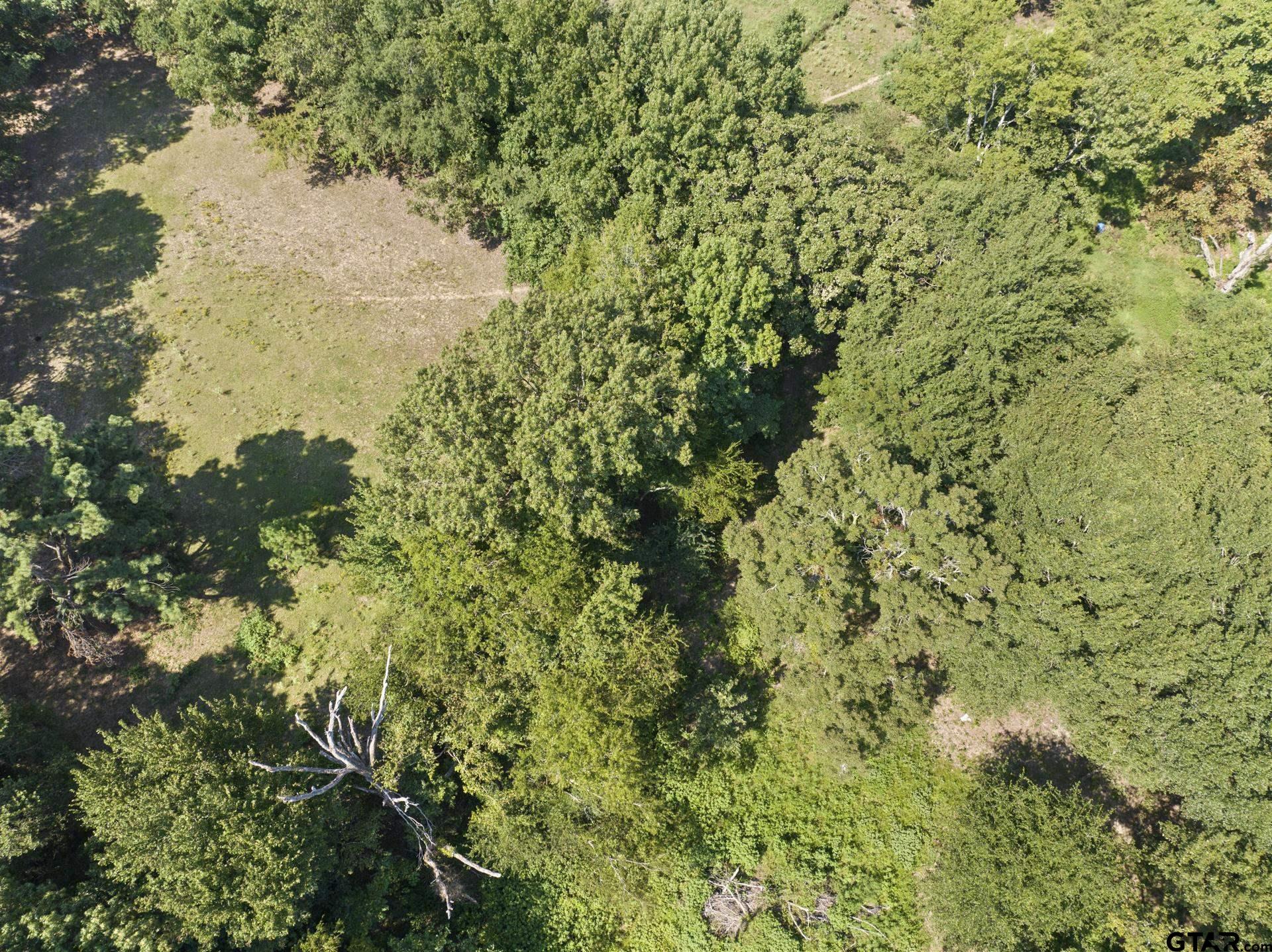 9280 NE County Road 2100, Talco, Texas image 34