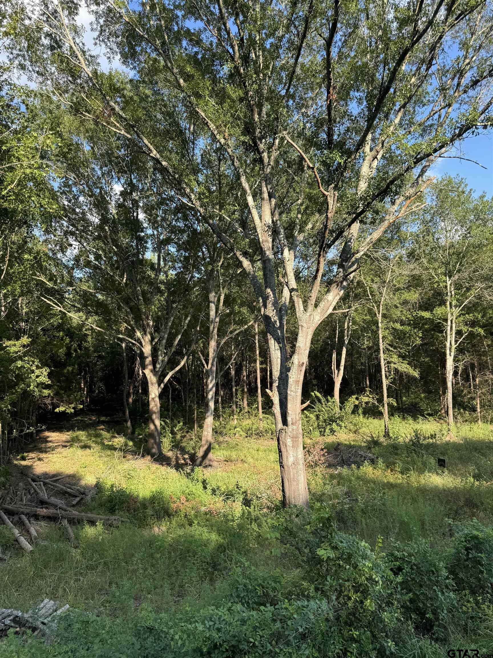 Tract 1 County Road 479, Lindale, Texas image 6