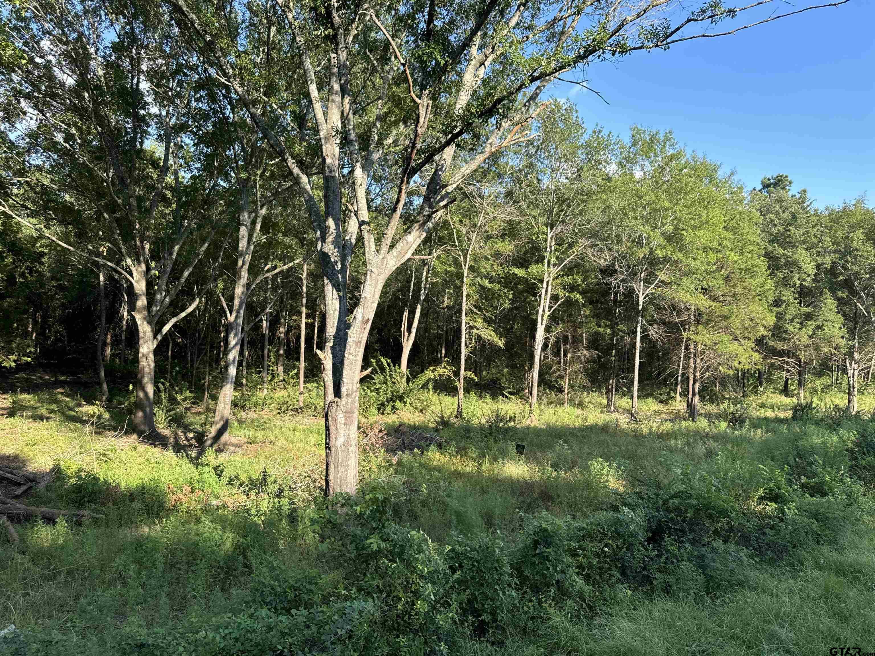 Tract 2 County Road 479, Lindale, Texas image 5