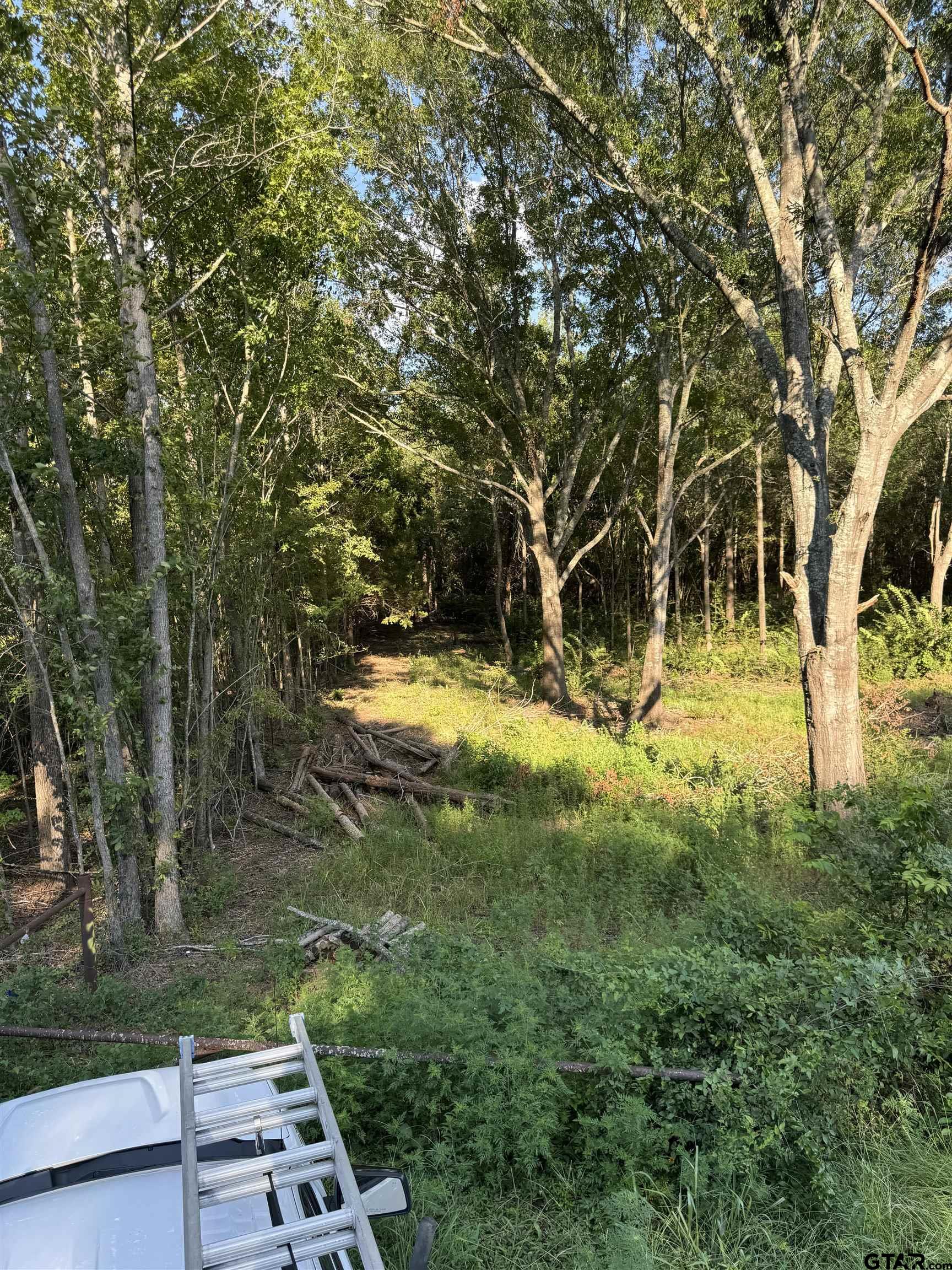 Tract 3 County Road 479, Lindale, Texas image 3