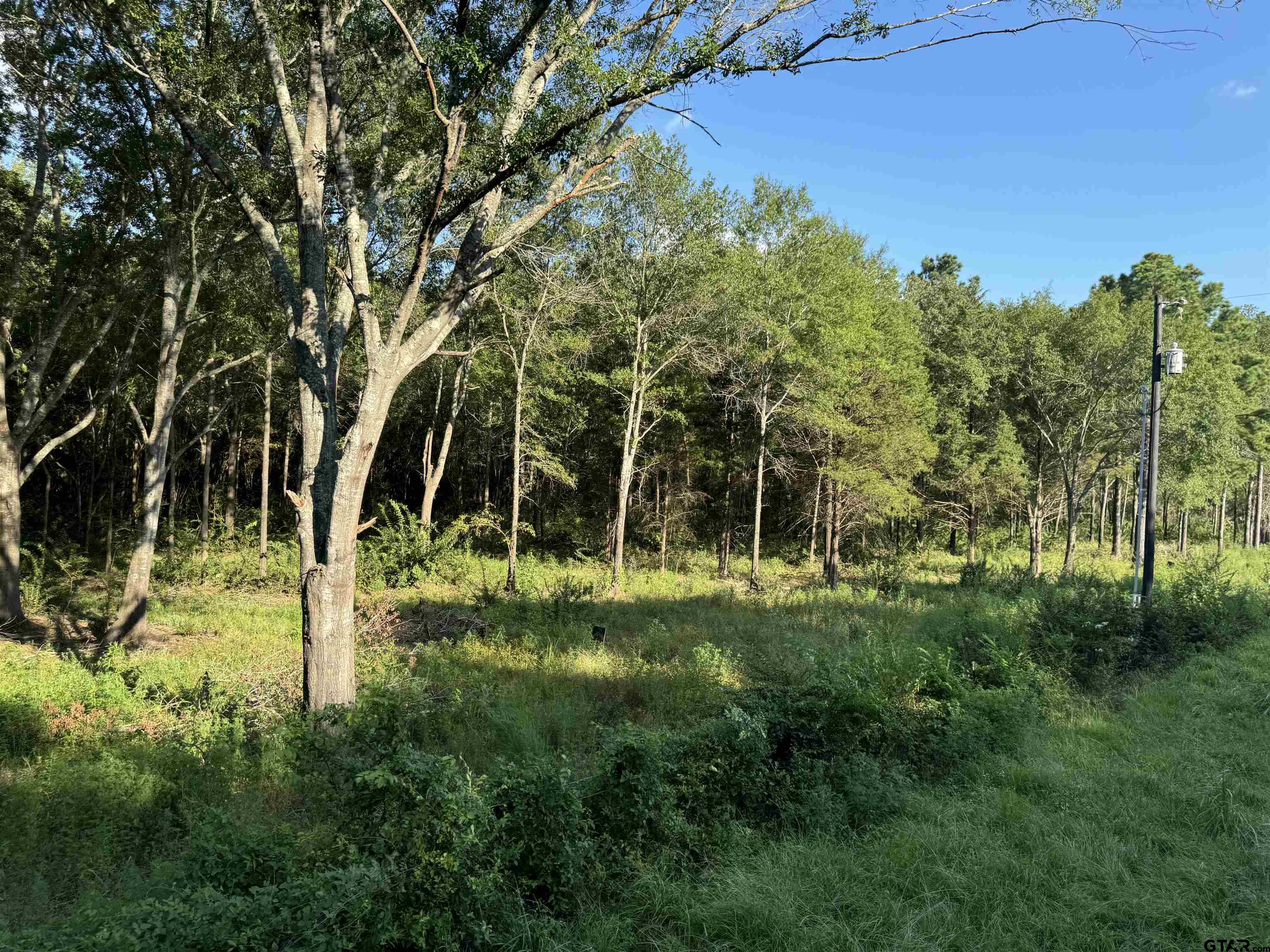 Tract 4 County Road 479, Lindale, Texas image 6