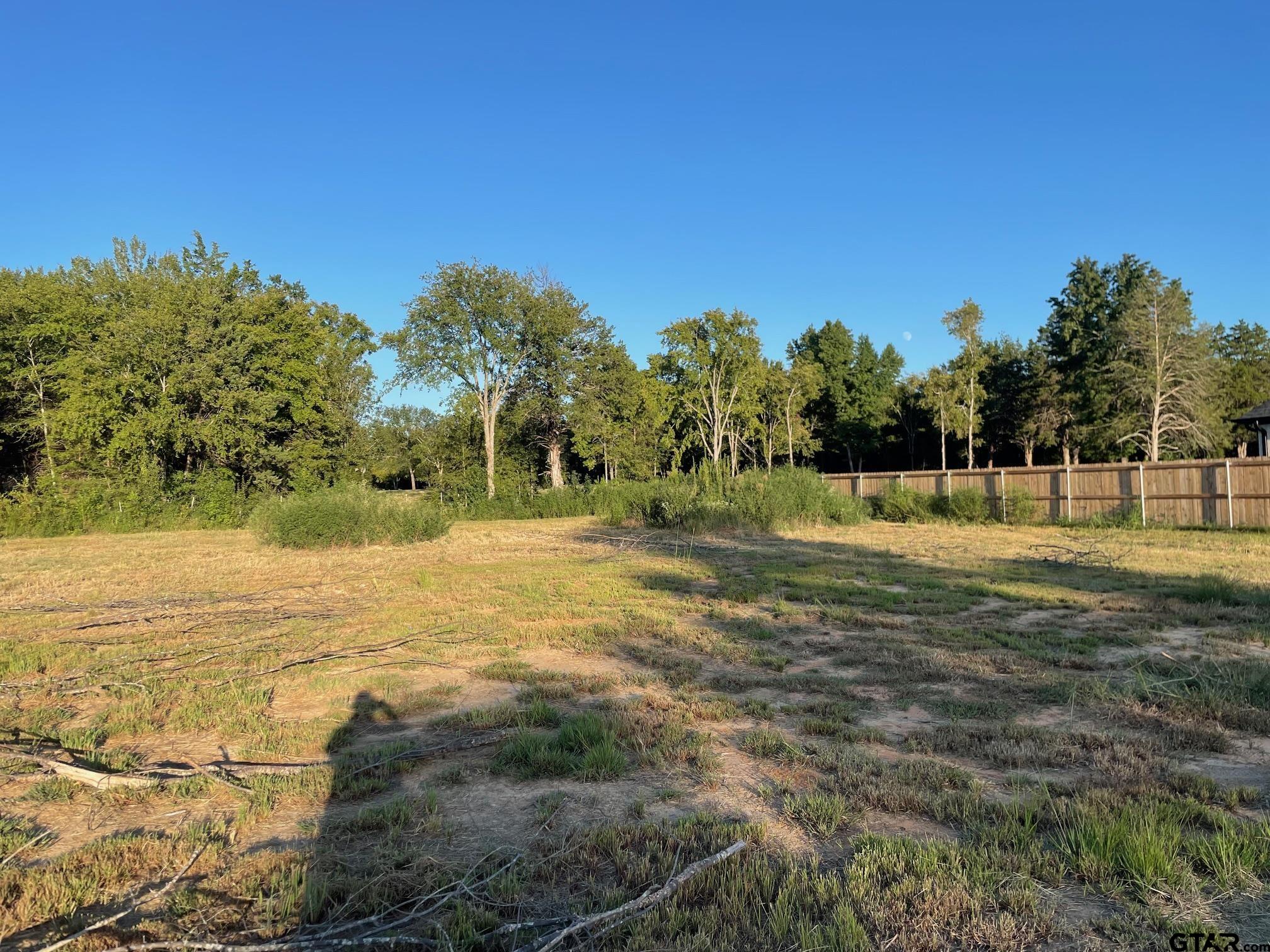12366 Harlon, Flint, Texas image 1