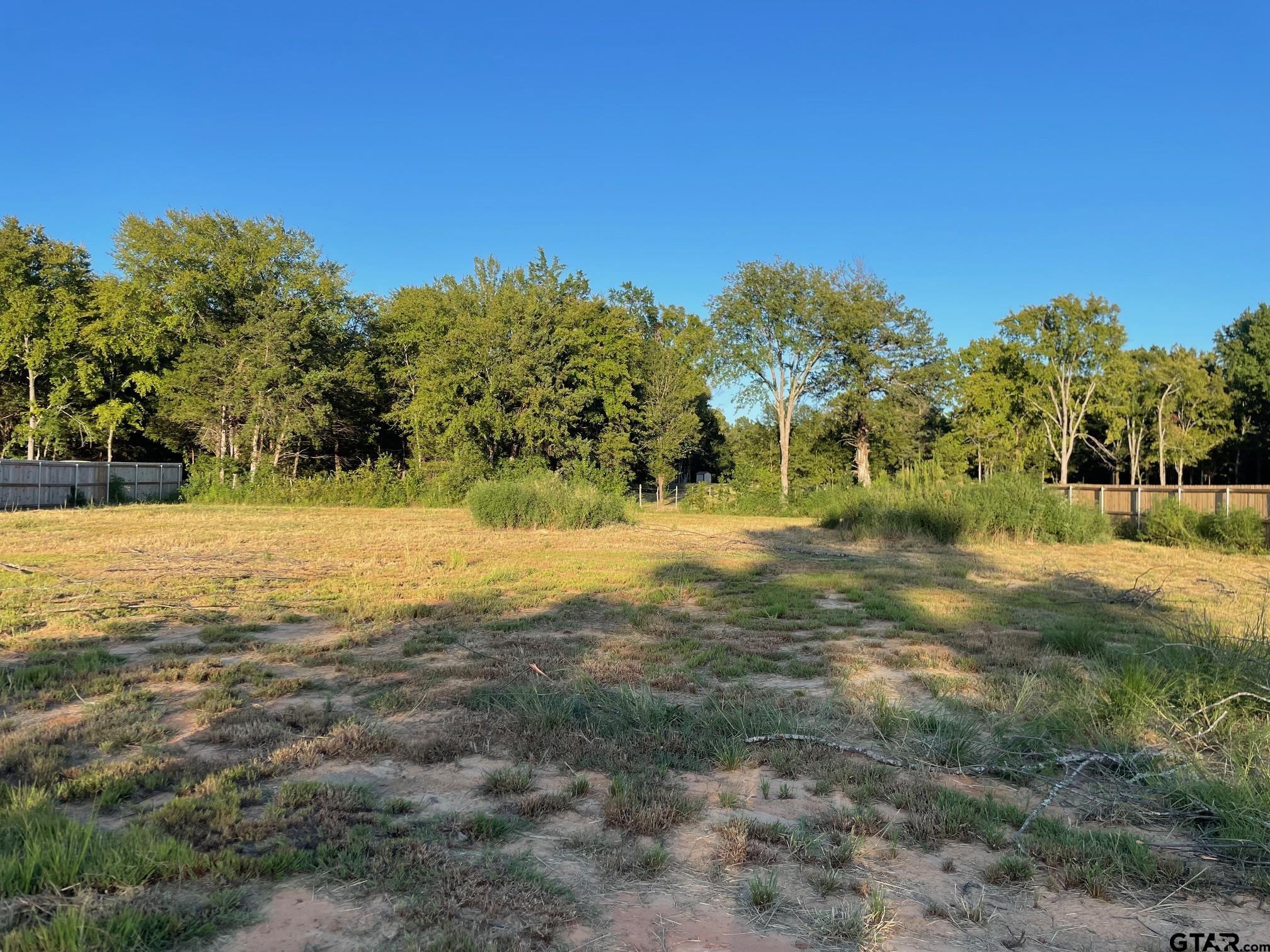 12366 Harlon, Flint, Texas image 2