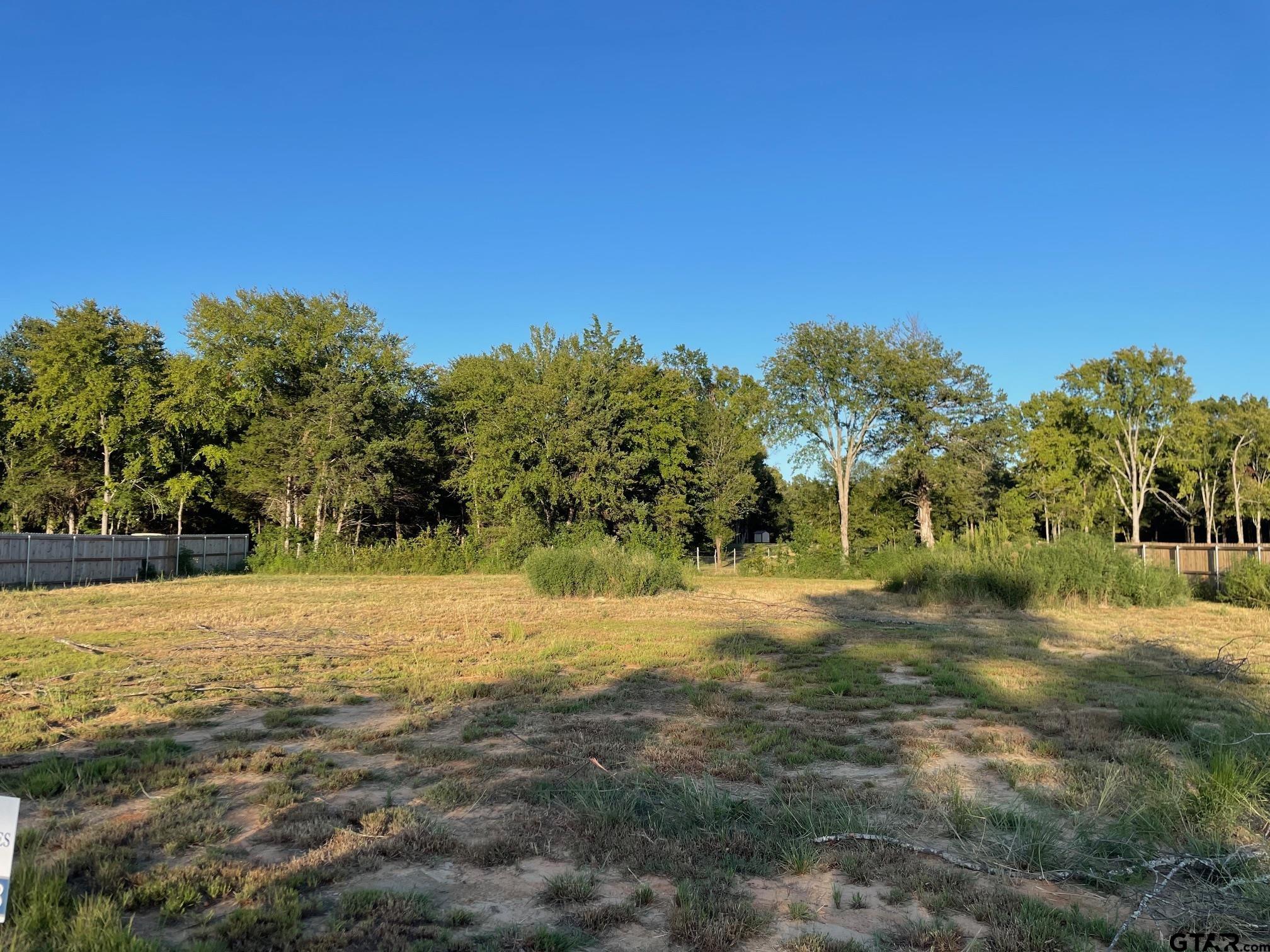 12366 Harlon, Flint, Texas image 3