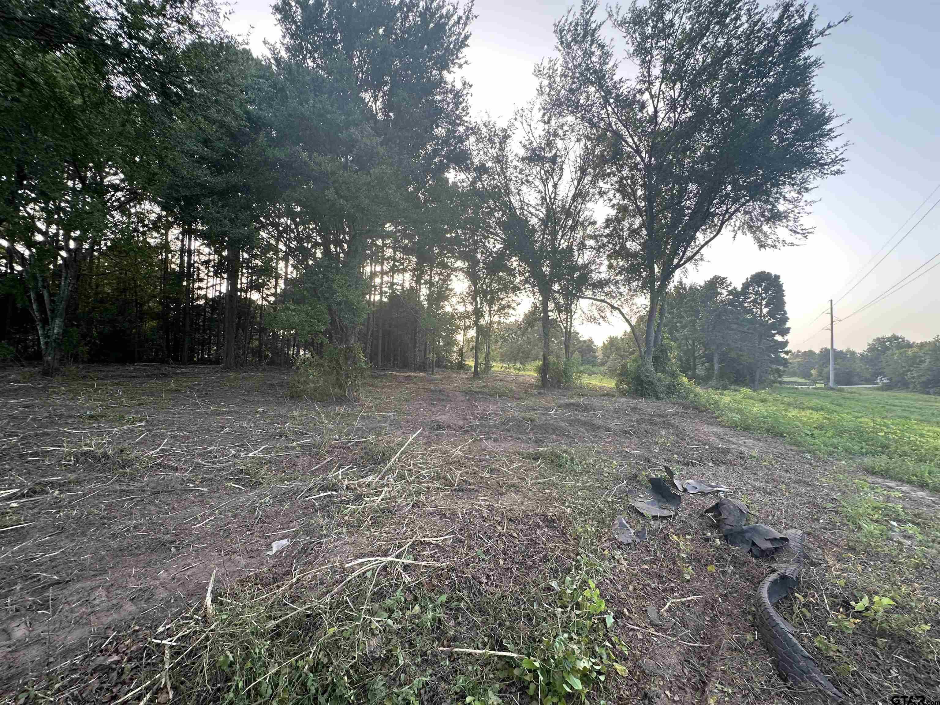TBD Lot 1 C R 386, Tyler, Texas image 9