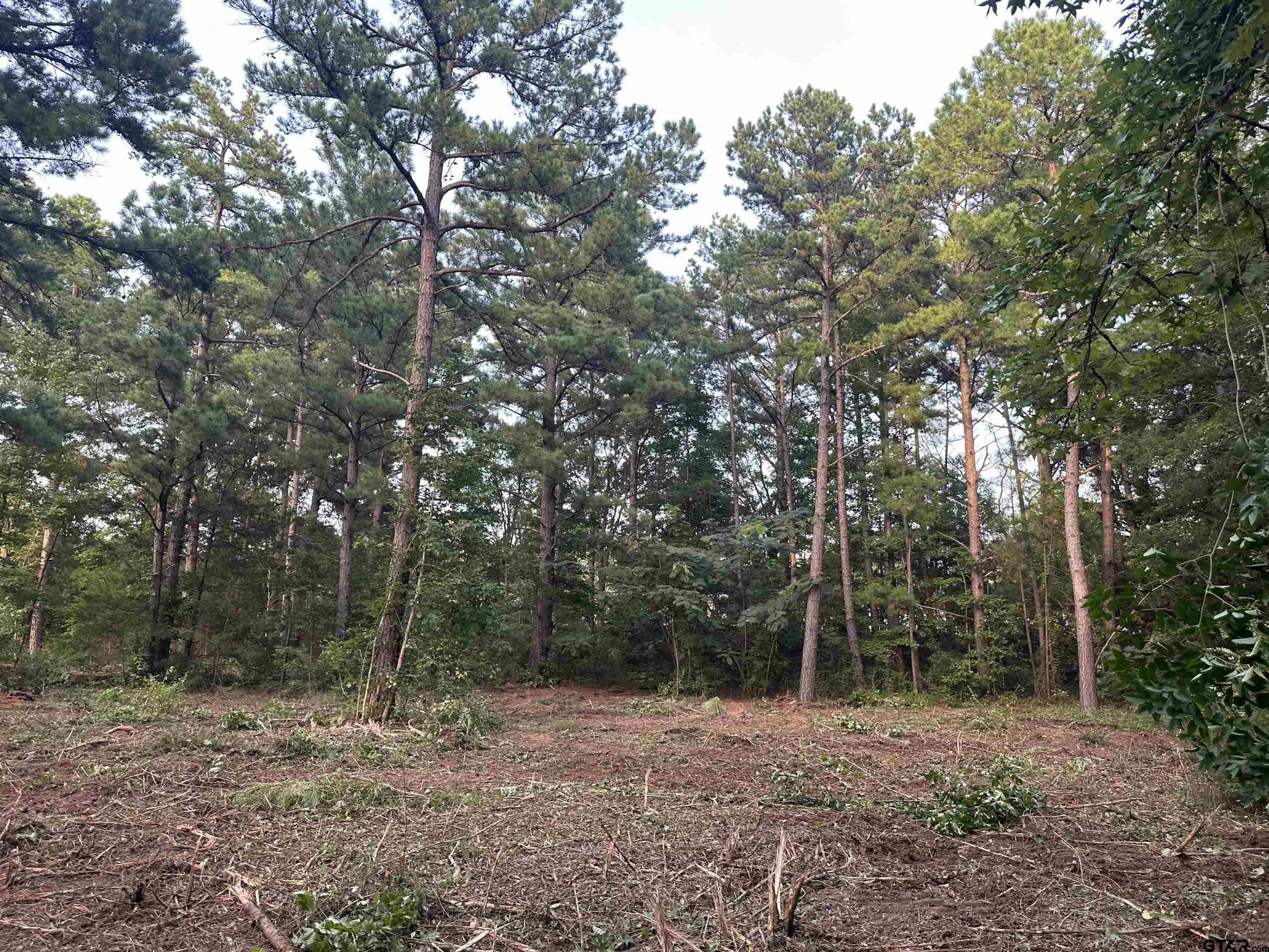 TBD Lot 4 C R 386, Tyler, Texas image 10