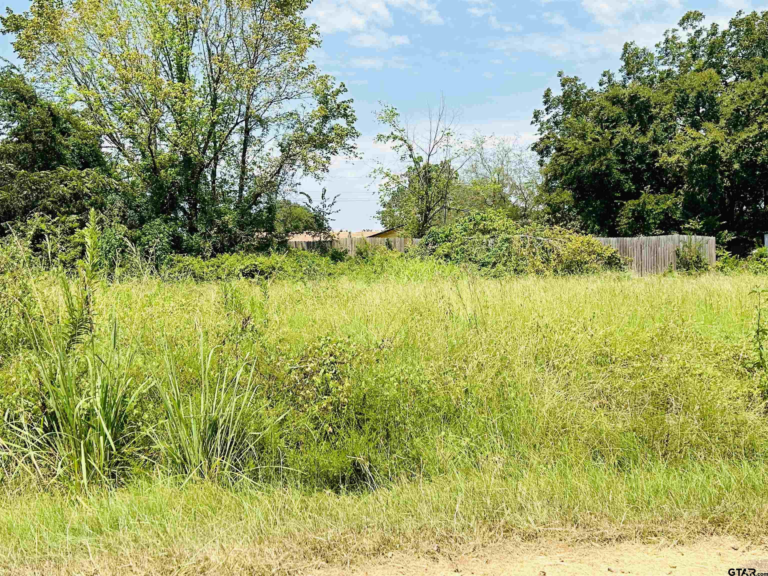 TBD Hollis St, Troup, Texas image 1