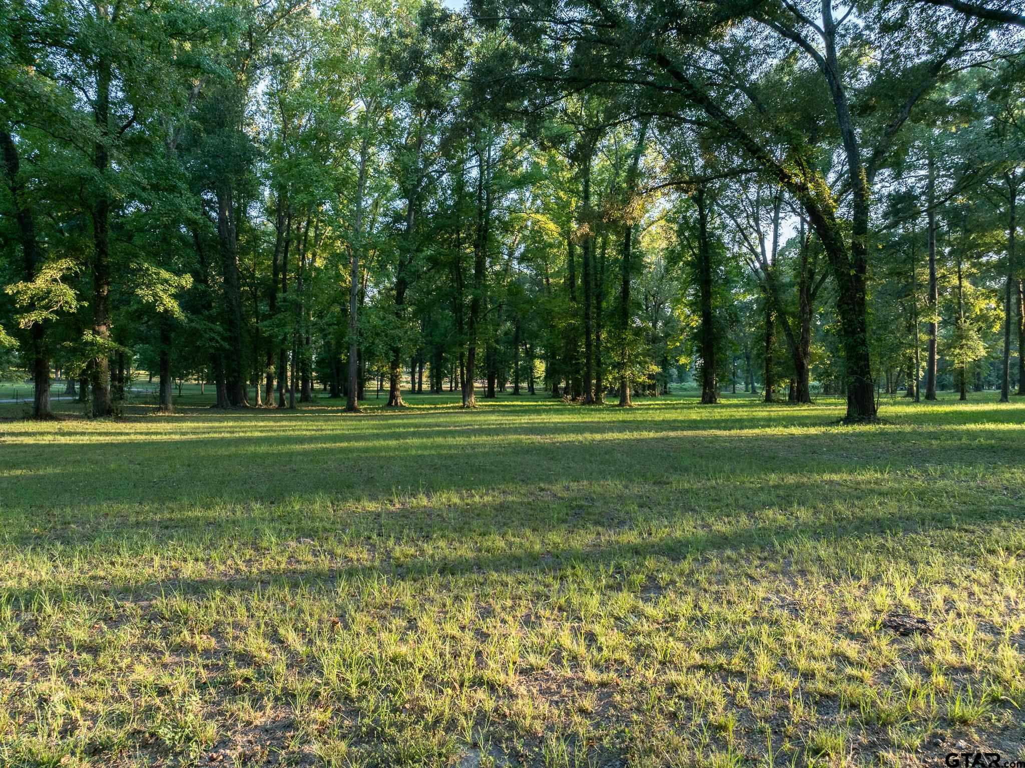 11879 Fm 838, Overton, Texas image 2