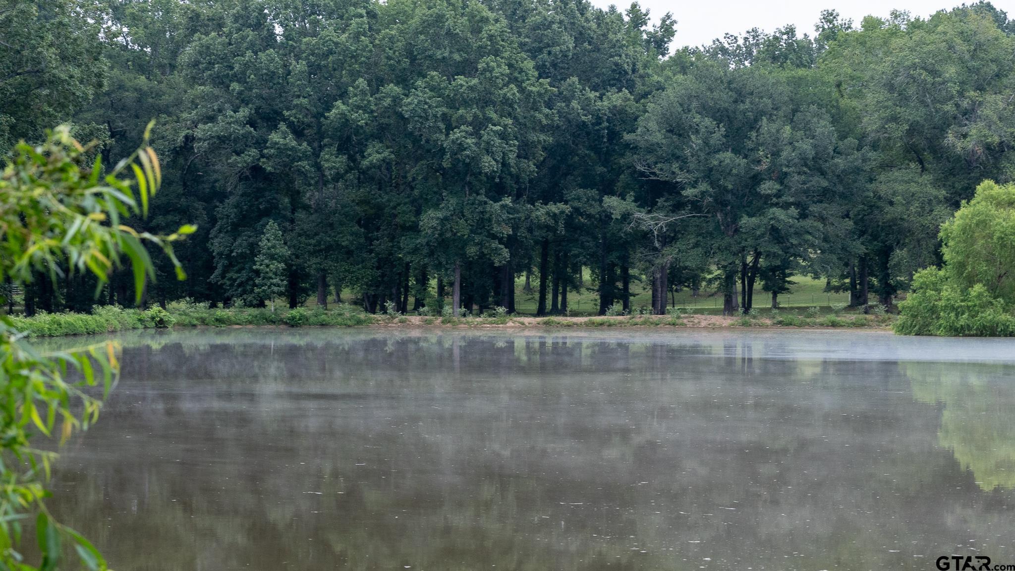 11879 Fm 838, Overton, Texas image 12