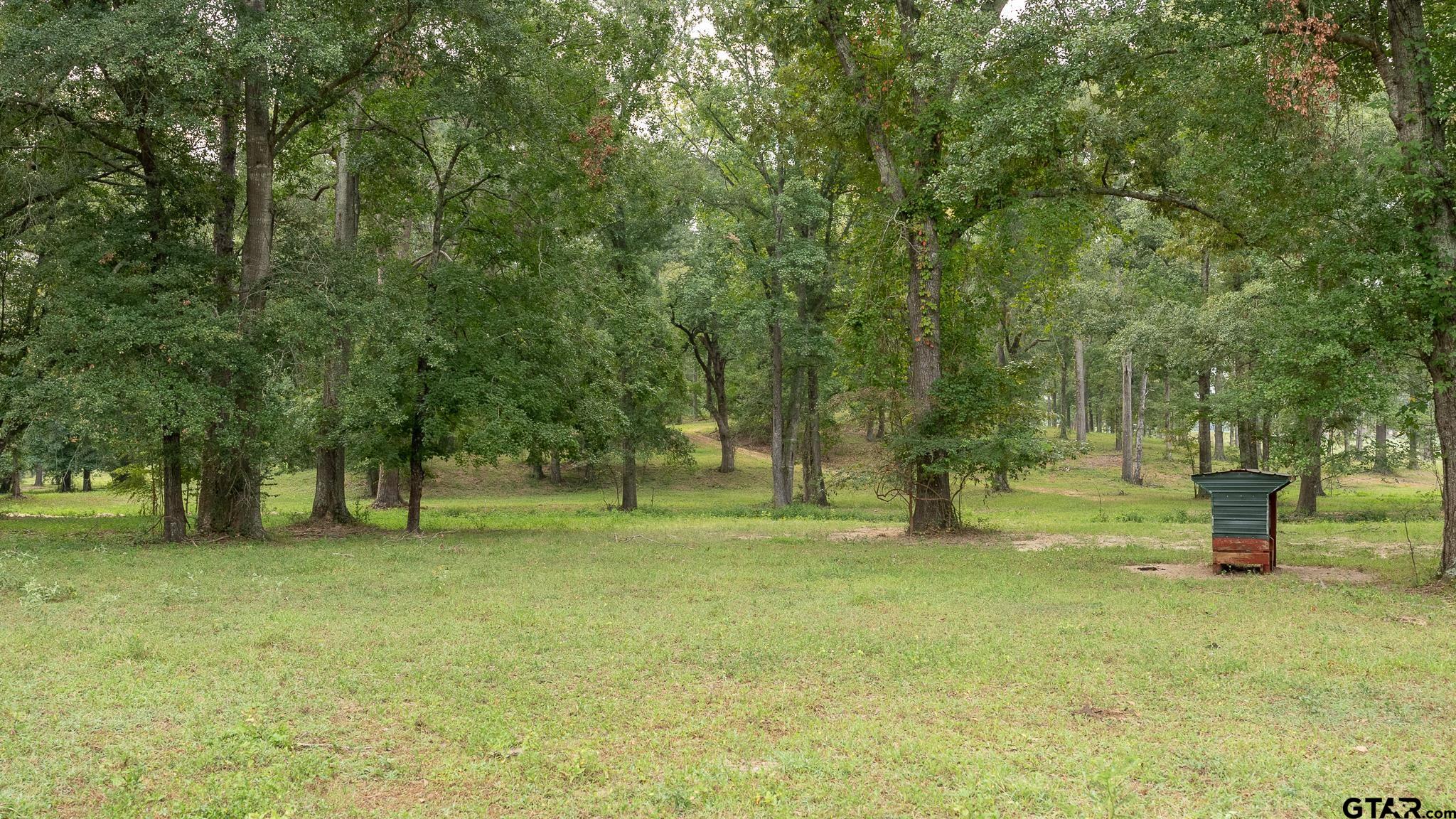 11879 Fm 838, Overton, Texas image 13