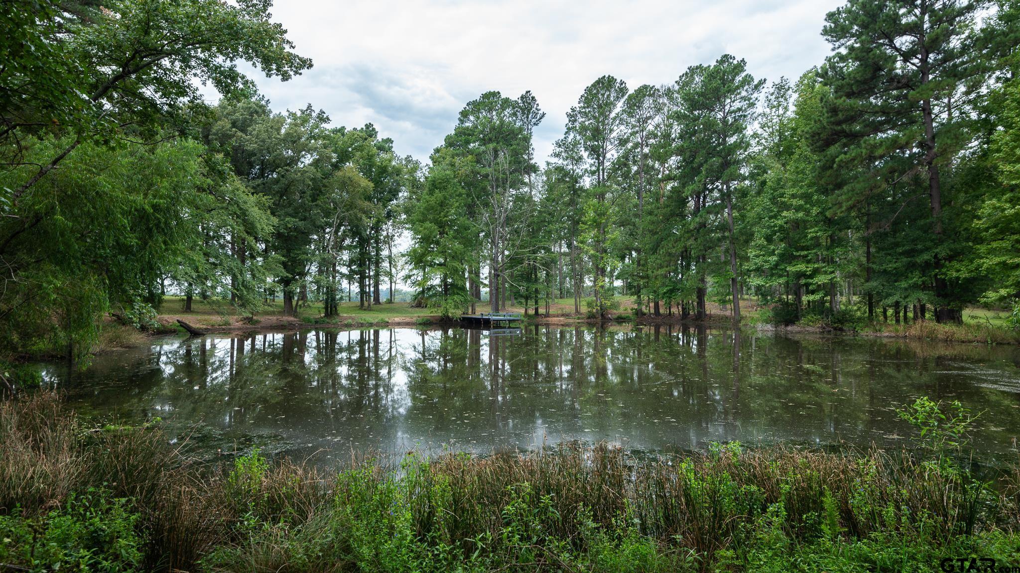 11879 Fm 838, Overton, Texas image 15