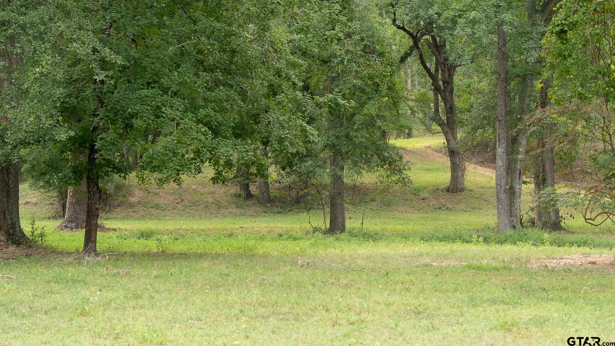 11879 Fm 838, Overton, Texas image 16
