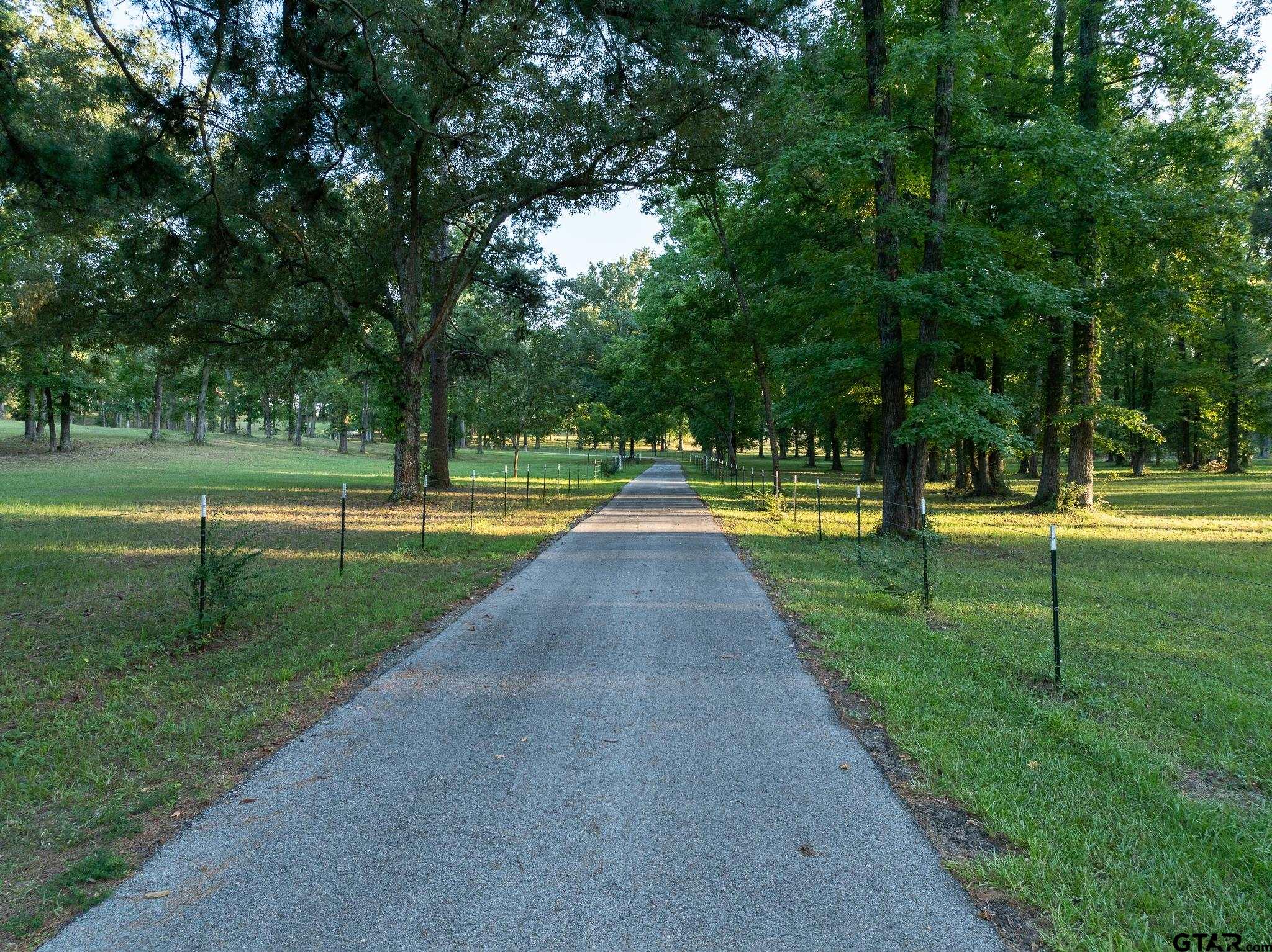 11879 Fm 838, Overton, Texas image 3