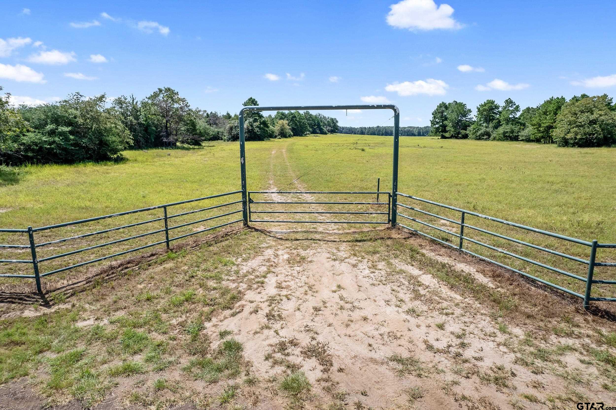 895 County Road 1208, Grapeland, Texas image 2