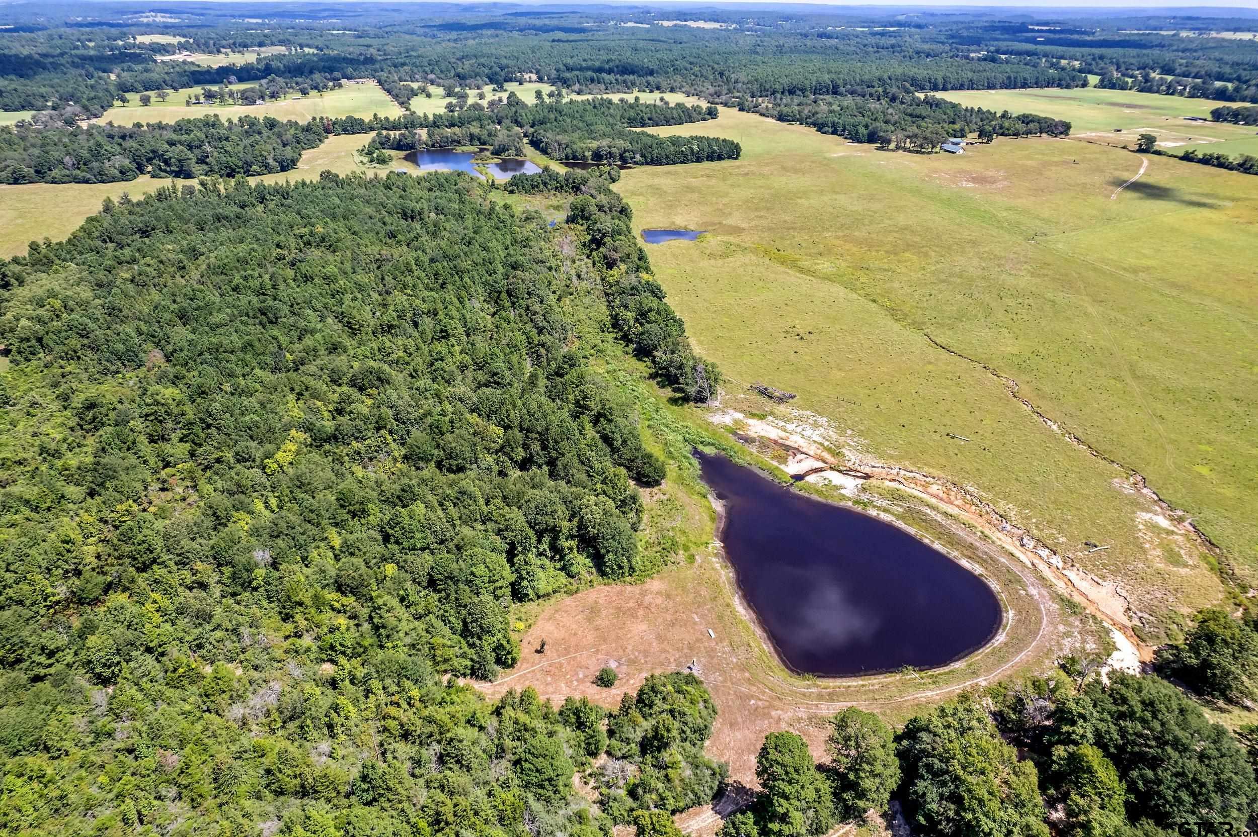895 County Road 1208, Grapeland, Texas image 39