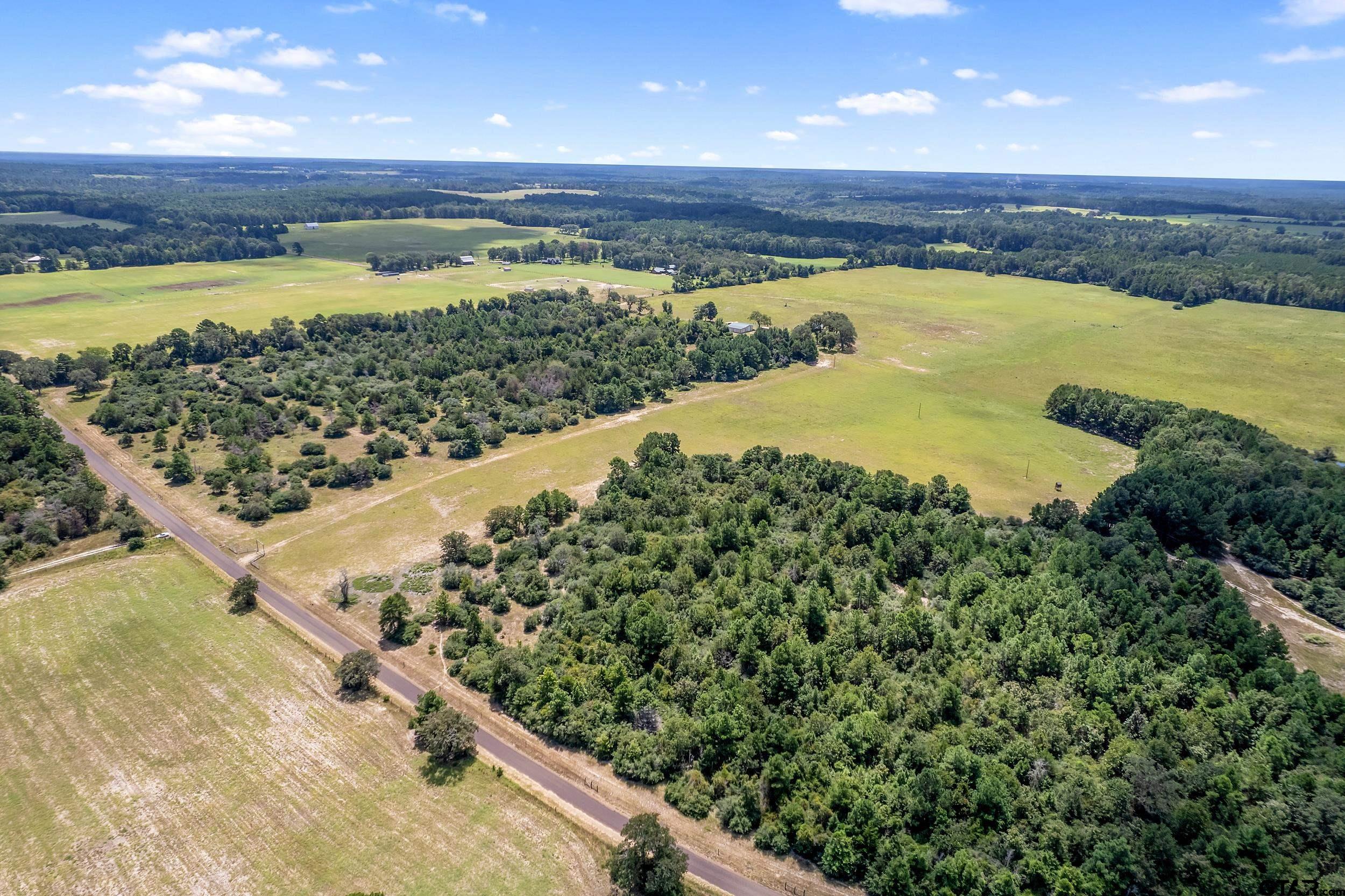 895 County Road 1208, Grapeland, Texas image 40