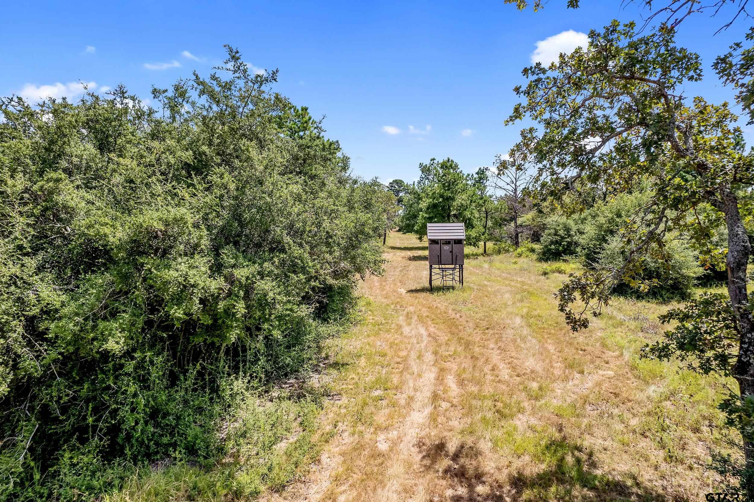 895 County Road 1208, Grapeland, Texas image 41