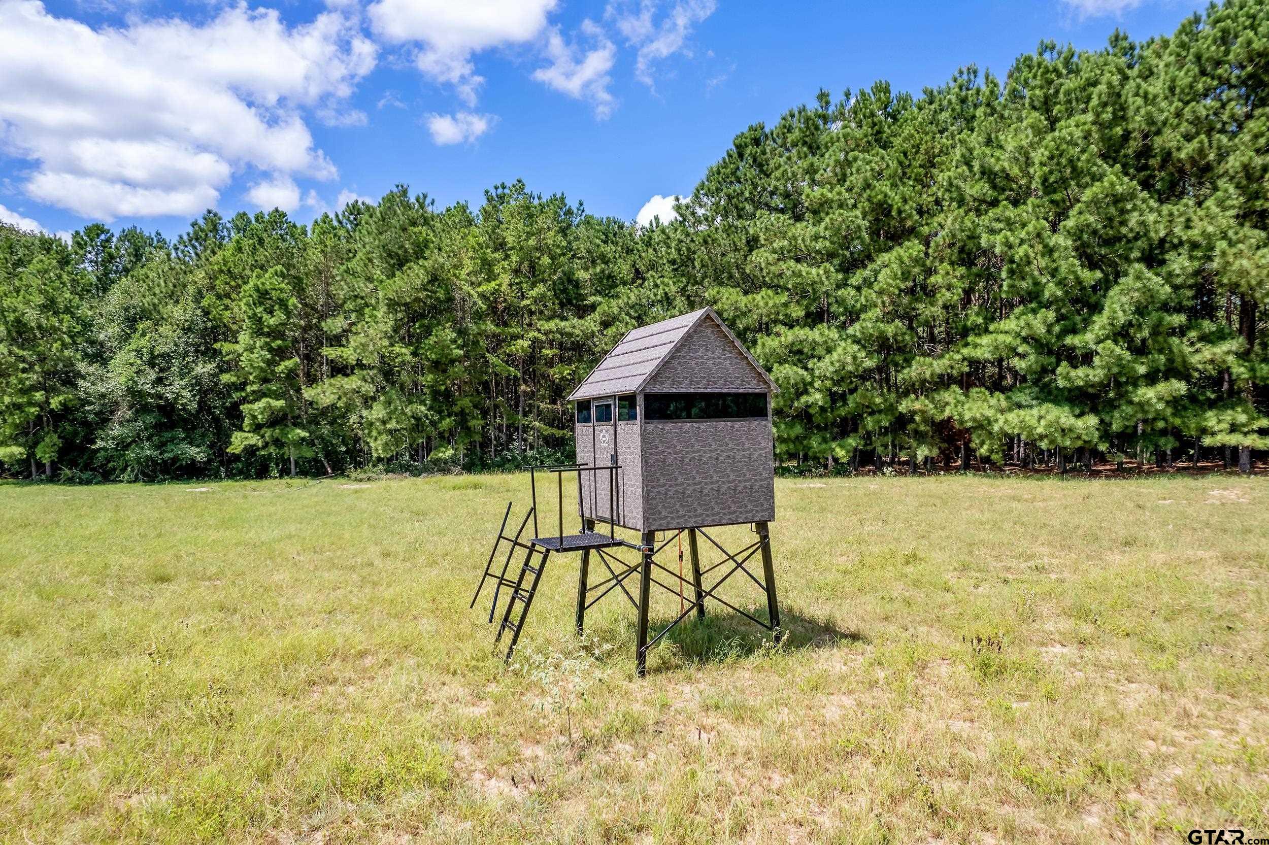 895 County Road 1208, Grapeland, Texas image 42