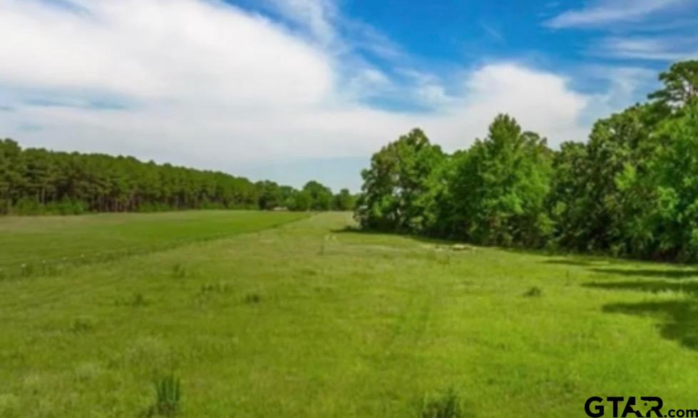 1295 N Fm 312, Winnsboro, Texas image 30