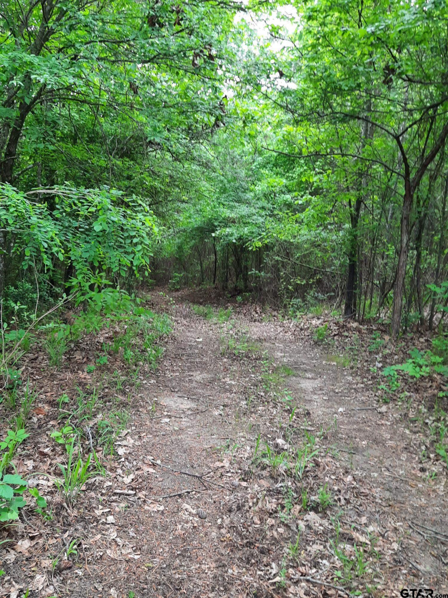 1295 N Fm 312, Winnsboro, Texas image 31
