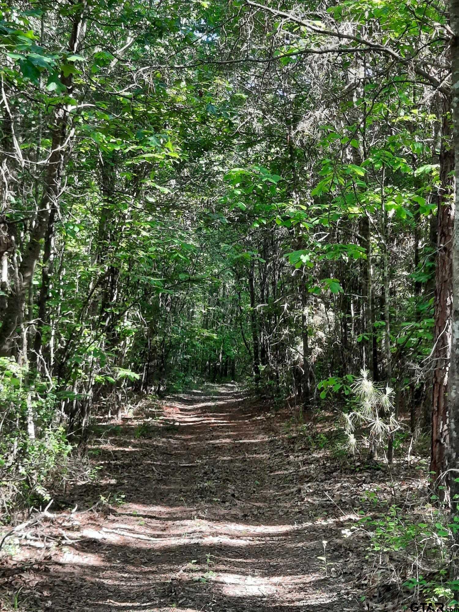 1295 N Fm 312, Winnsboro, Texas image 32
