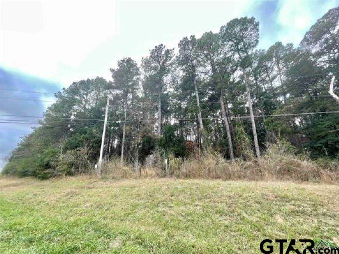 TBD Broadnax Street, Daingerfield, Texas image 2
