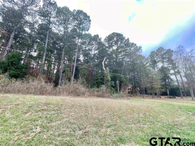 TBD Broadnax Street, Daingerfield, Texas image 3