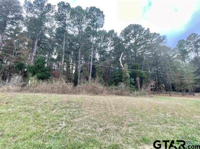 TBD Broadnax Street, Daingerfield, Texas image 5