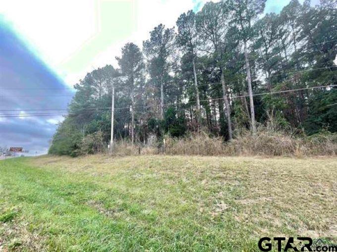 TBD Broadnax Street, Daingerfield, Texas image 6