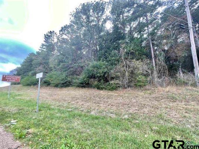 TBD Broadnax Street, Daingerfield, Texas image 7