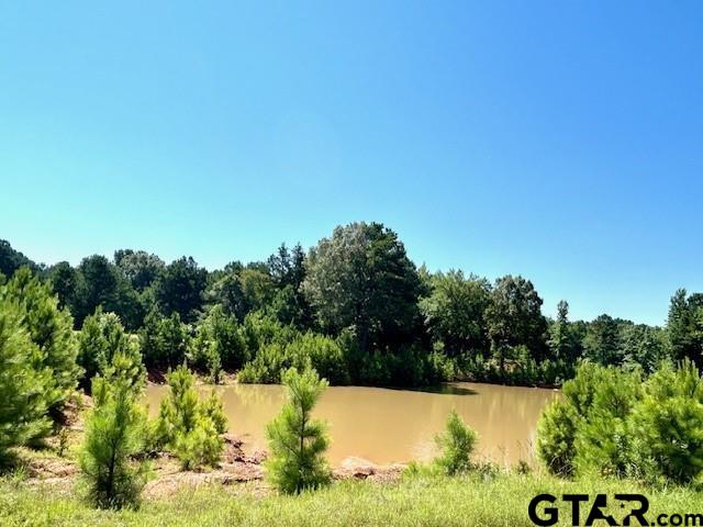 244 County Road 3117, Clarksville, Texas image 9
