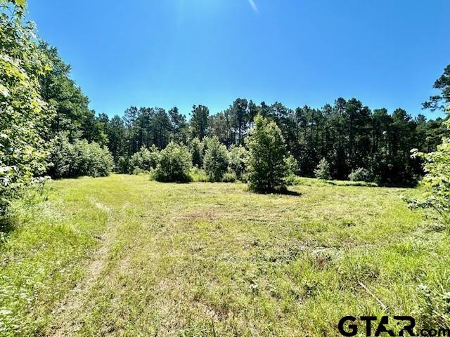 244 County Road 3117, Clarksville, Texas image 10